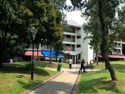 UBI AVENUE 1 (D14), Shop House #173862082